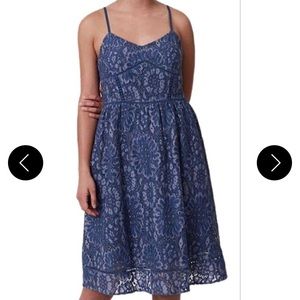 NWT Loft Lace Dress
